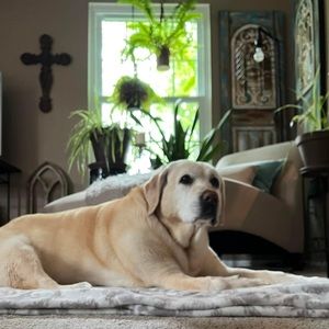 Meet your Posher, Faith